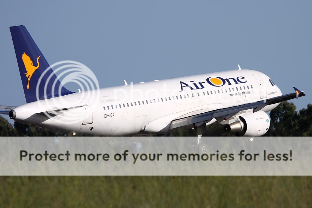 airone3.jpg