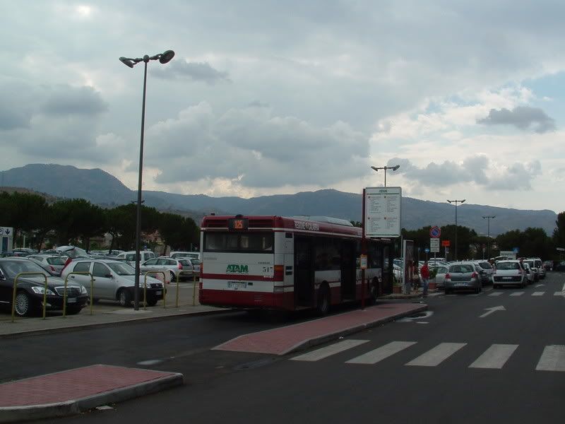 DSCF0483.jpg