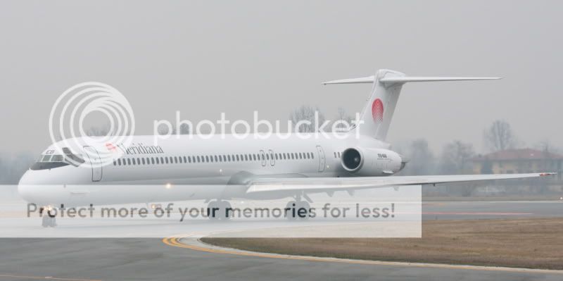 beee-1.jpg