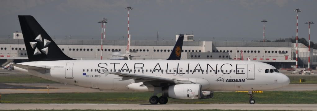187.jpg