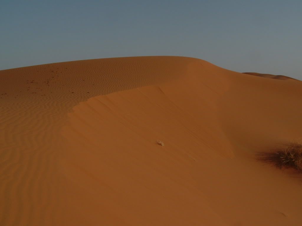DSCF0596.jpg
