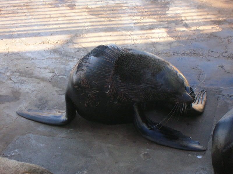DSCN4400.jpg