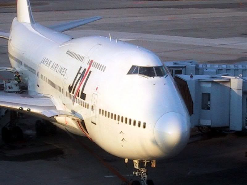 jal744D_3.jpg