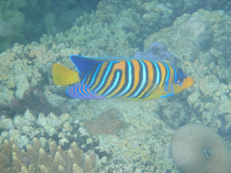P4130587.jpg