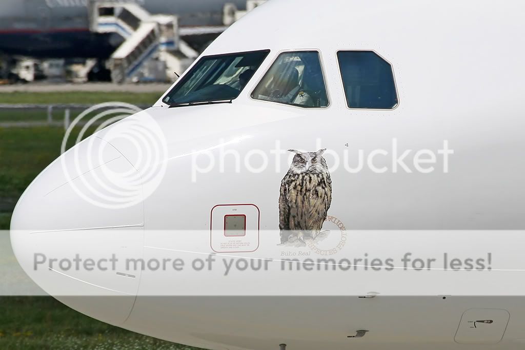 IMG_8606_b.jpg