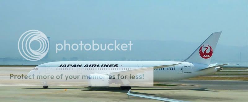 787_1.jpg