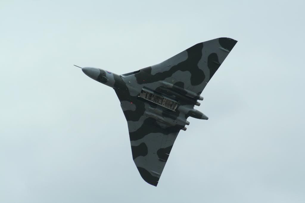 459.jpg