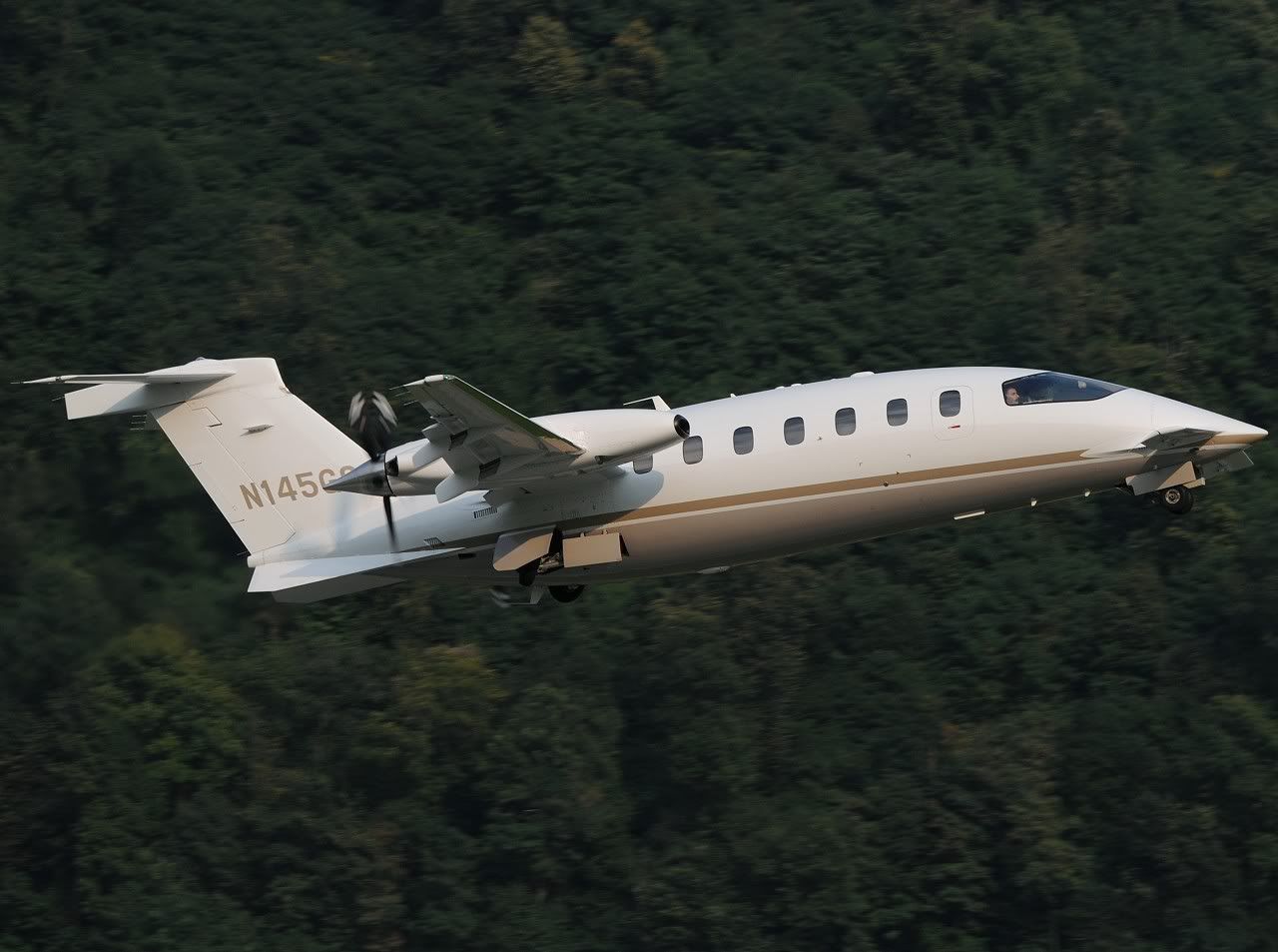 N145GS_1.jpg