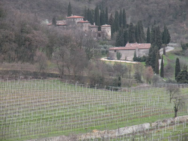 DSCN4509.jpg