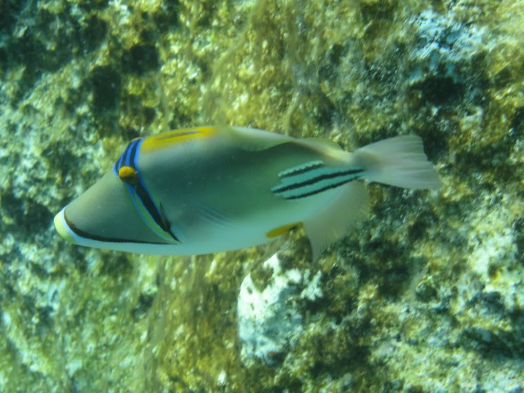 IMG_2122.jpg