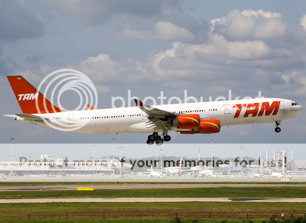 PT-MSN1.jpg