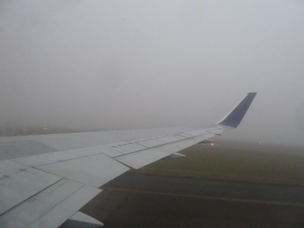 P1200007.jpg