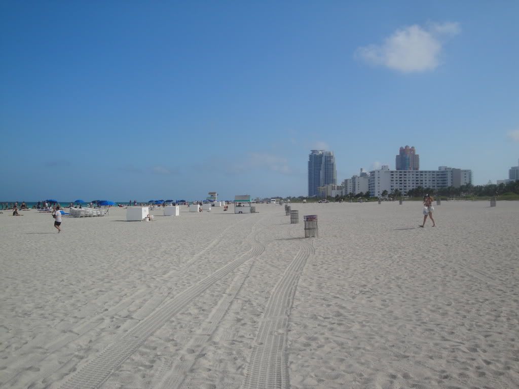 DSC05913.jpg