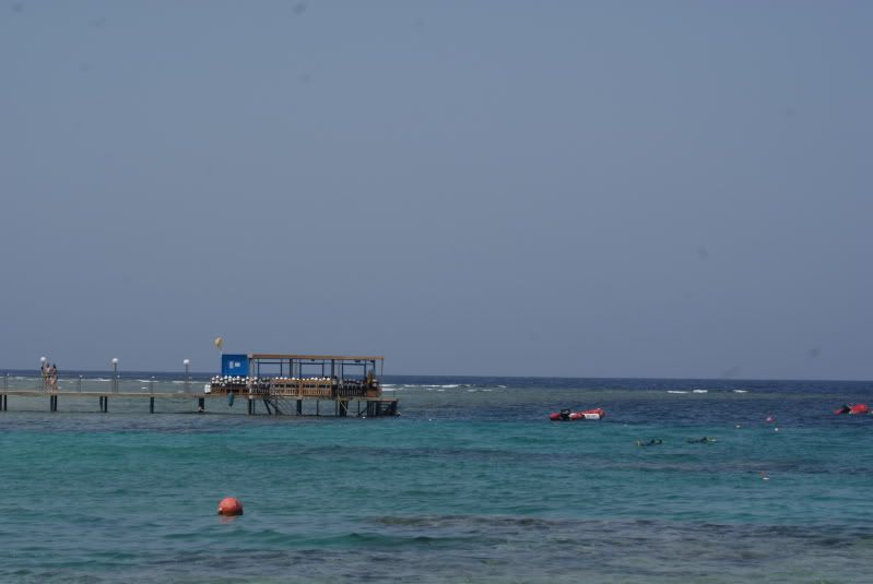 DSC00395.jpg