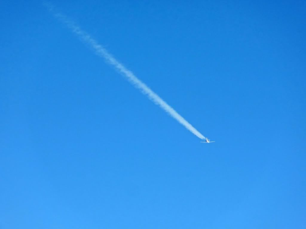 DSC00351.jpg