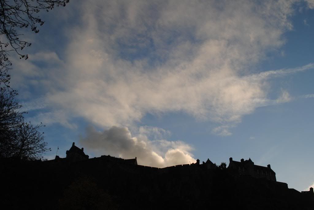 DSC_0764.jpg