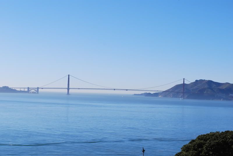 DSC_0896.jpg