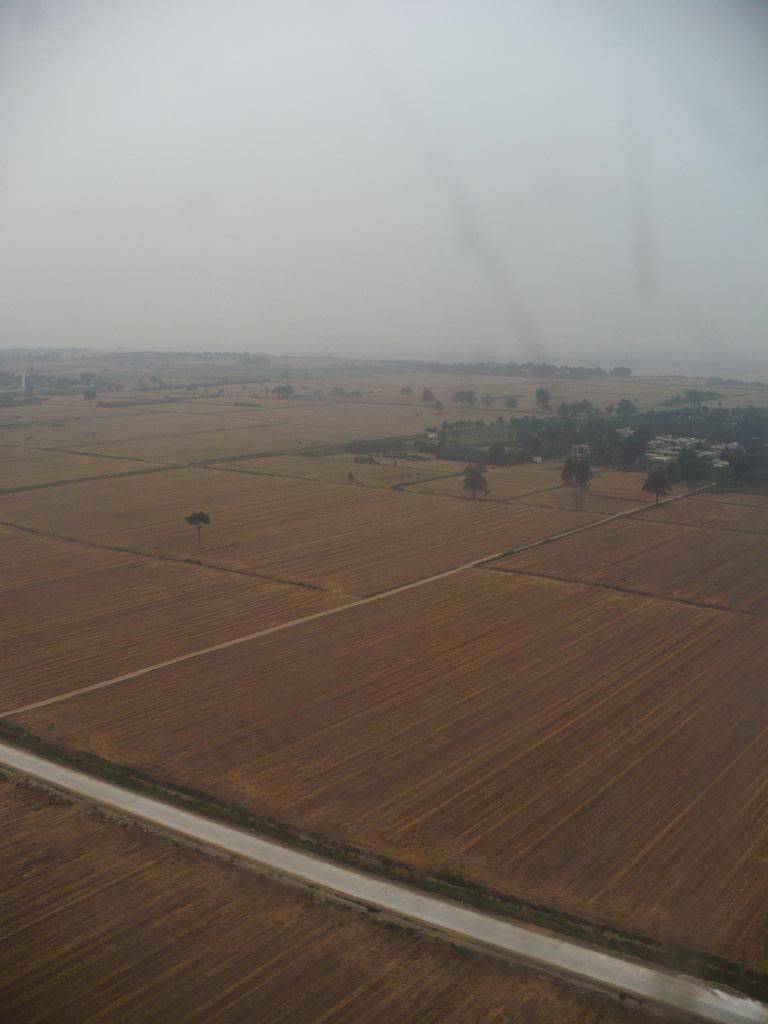 P1010458.jpg