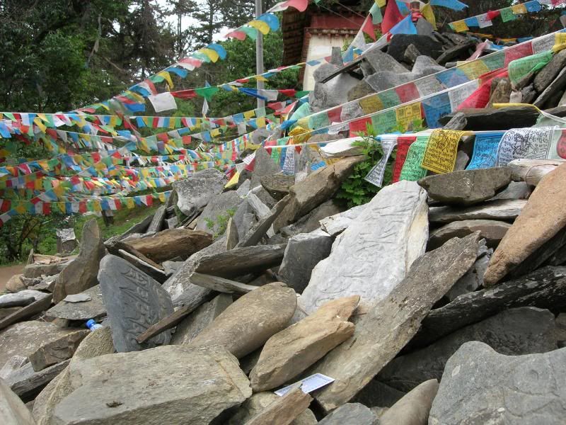 DSCN2258.jpg