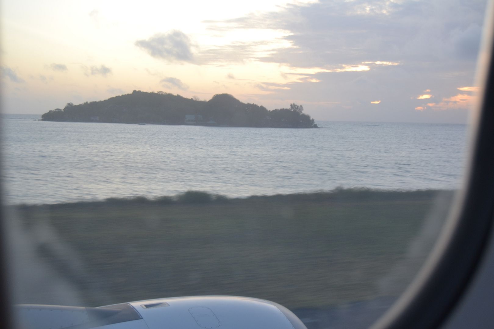 DSC_0169.jpg