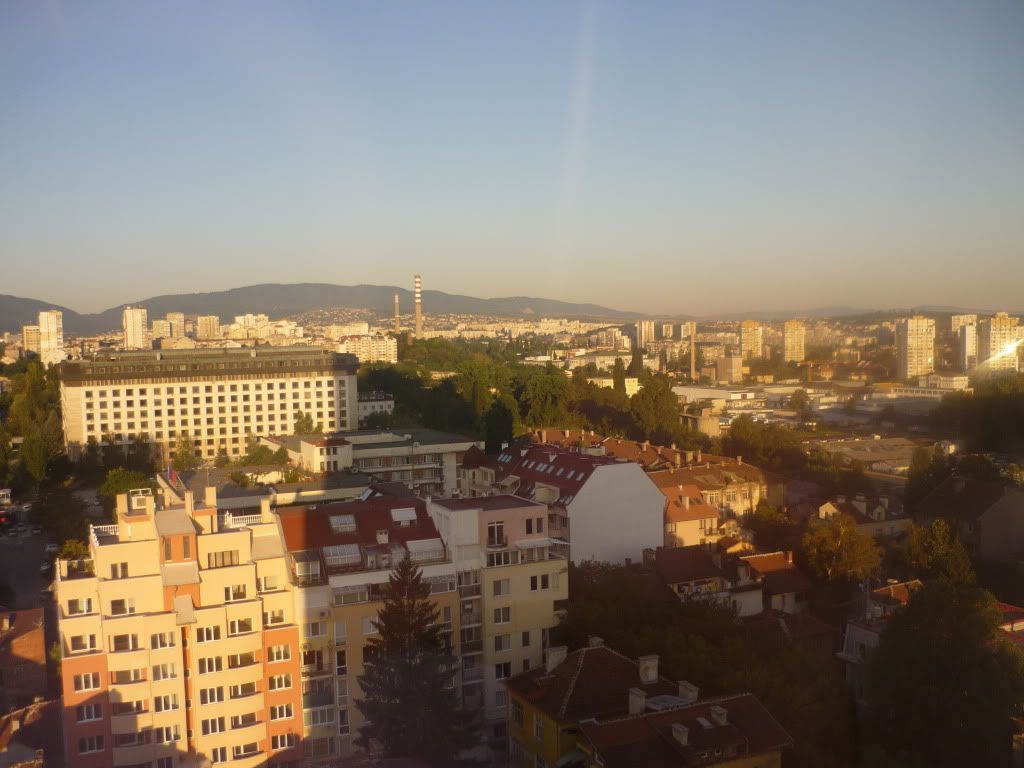 P1000401.jpg