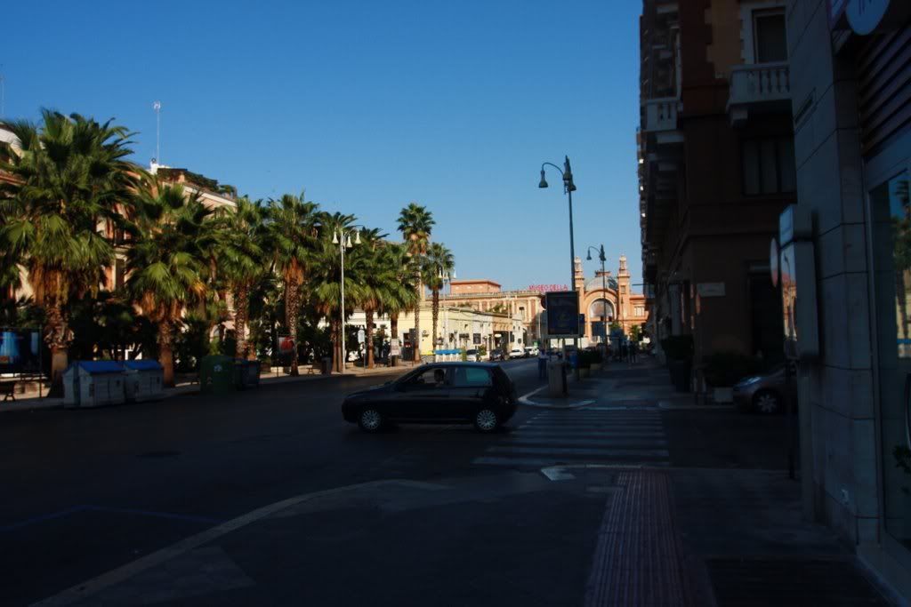 IMG_7690.jpg
