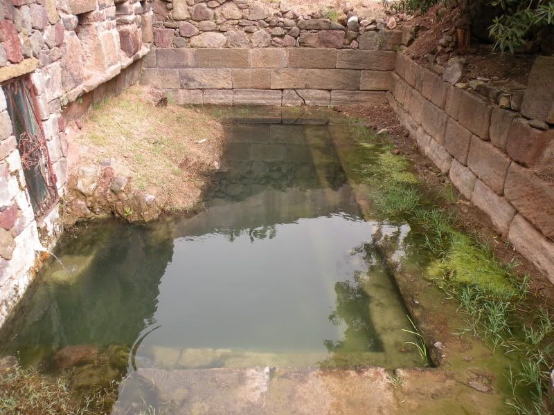 DSCN8193.jpg