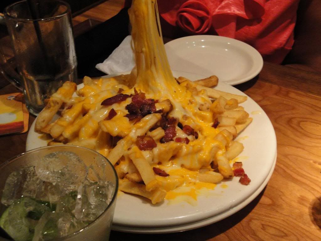 DSC00268.jpg
