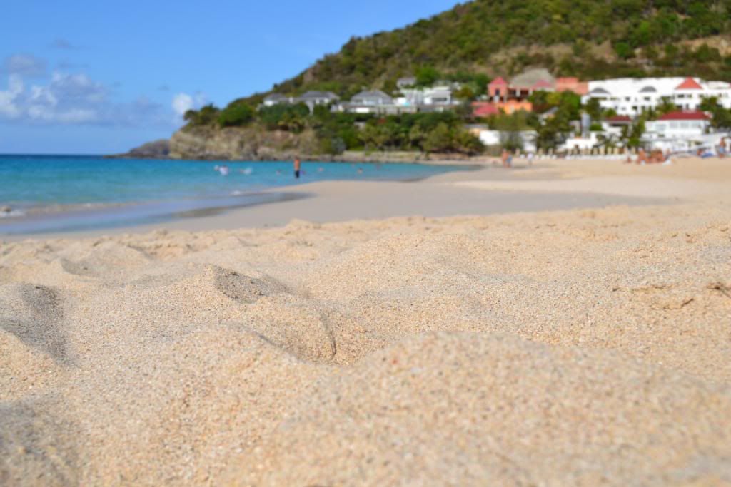 DSC_0408.jpg