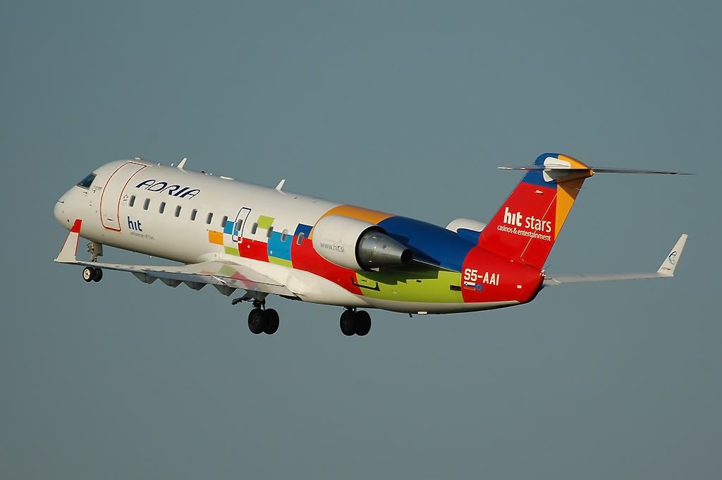 DSC_3232.jpg