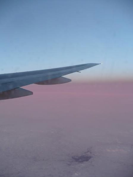 P1020172-1.jpg