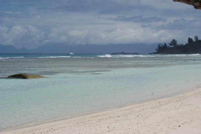 DSC00244.jpg