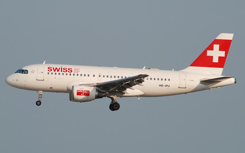 swiss1.jpg