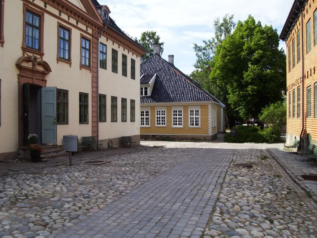 IMGP2872.jpg