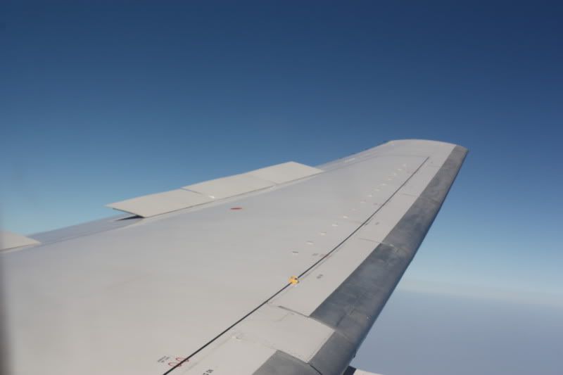 73.jpg