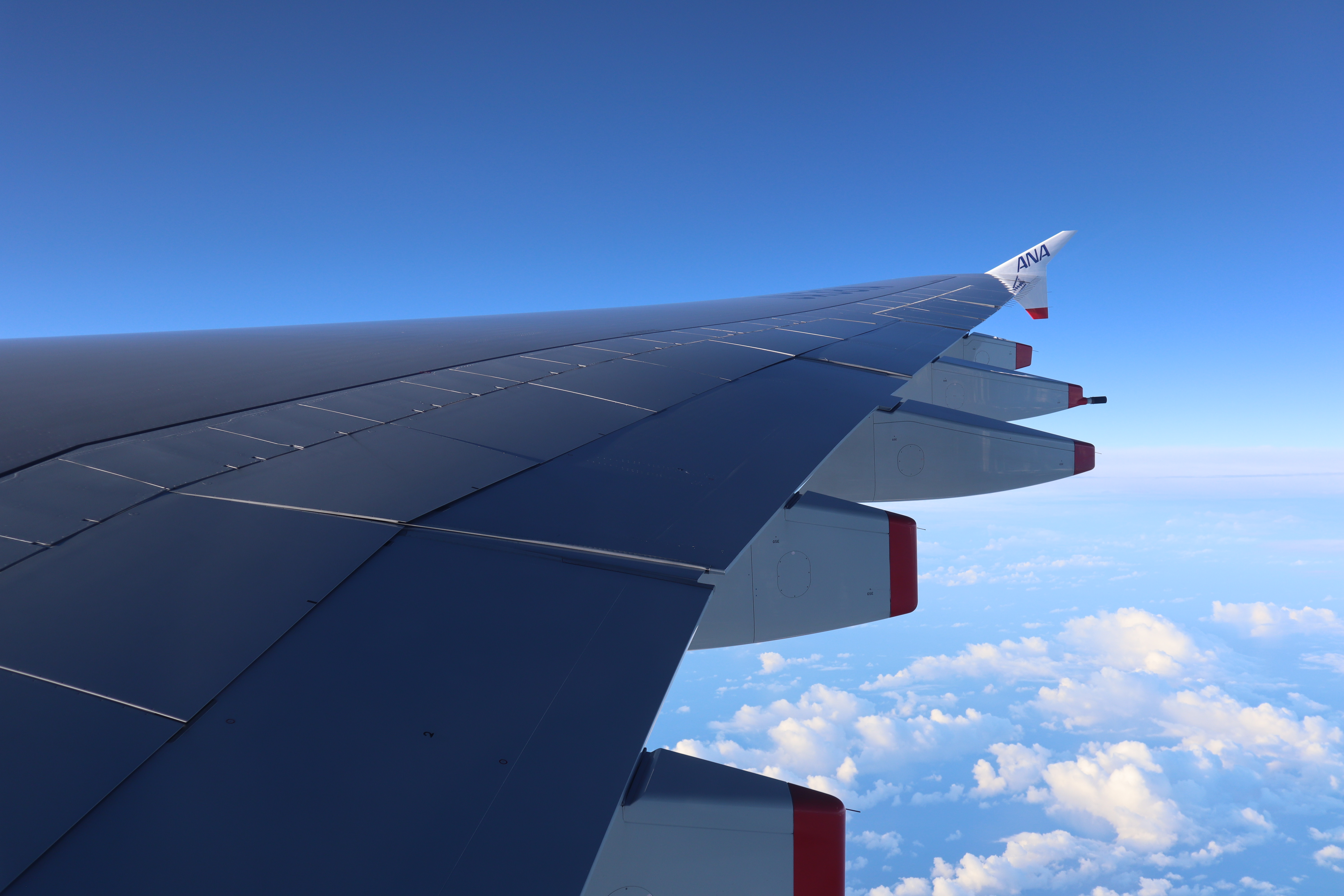 49529334747_287ea6f299_6k.jpg