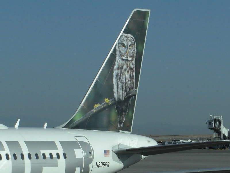 CIMG4481.jpg