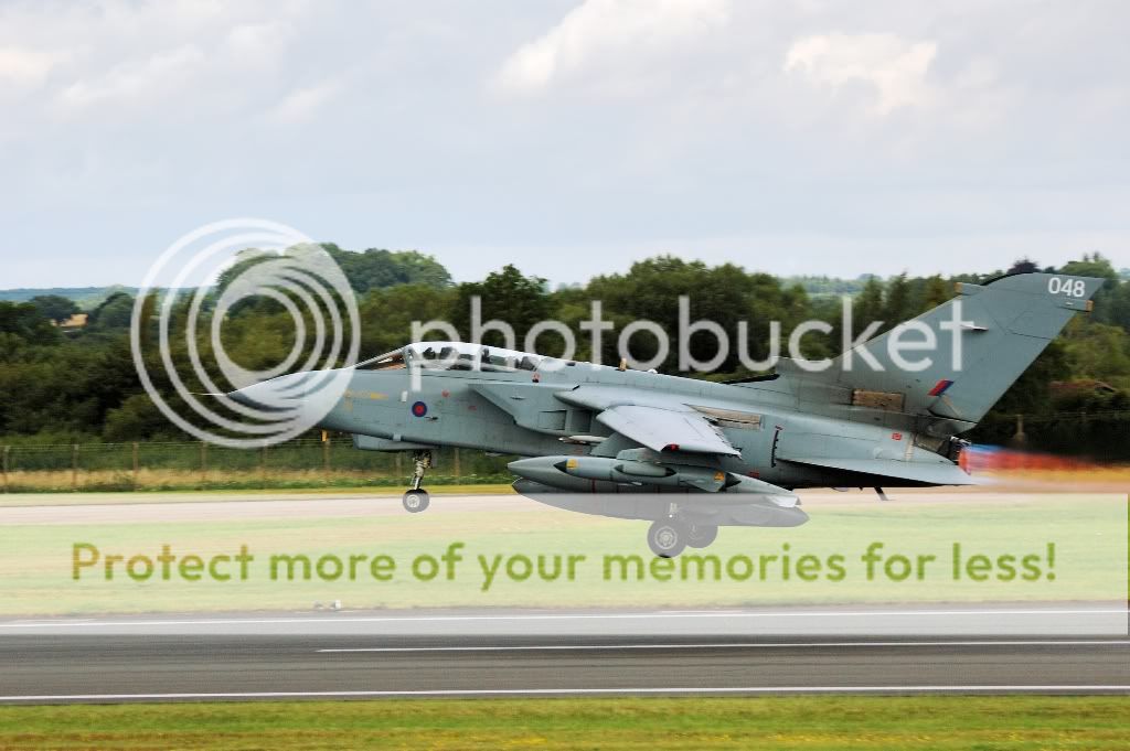 DSC_1298.jpg