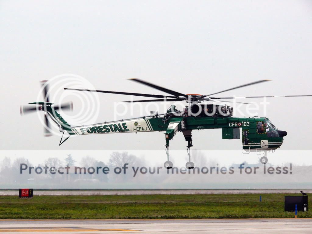 DSC_4739a.jpg