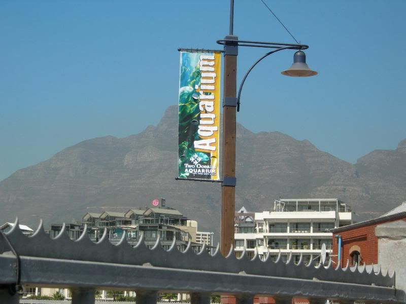 DSCN7290.jpg