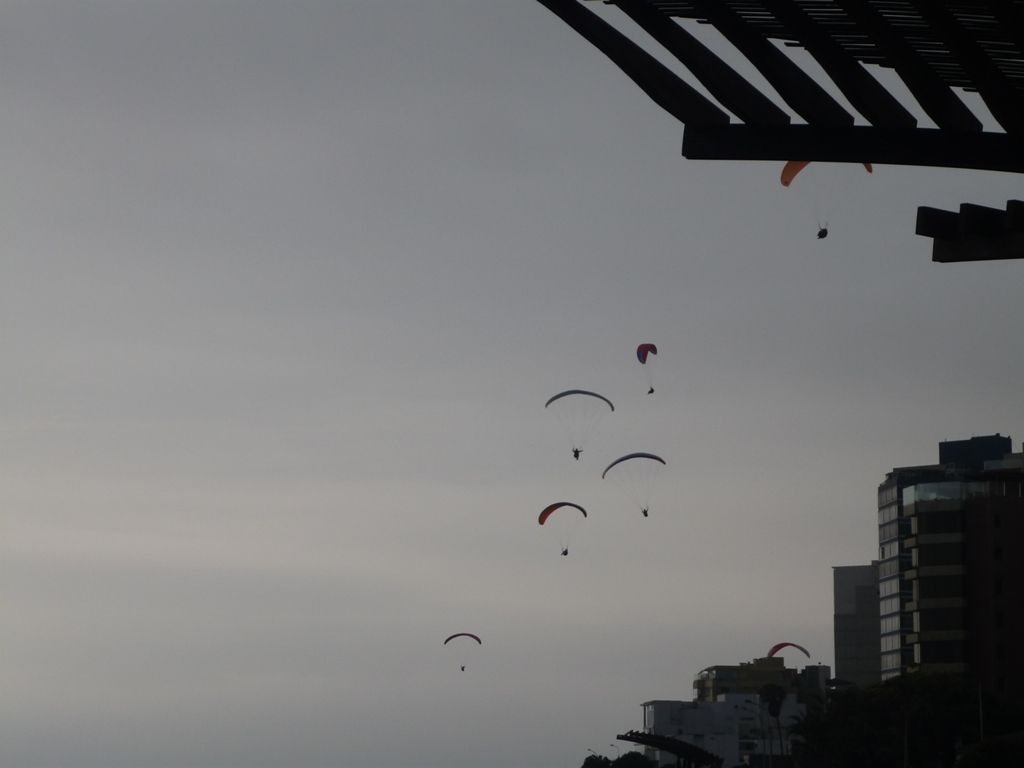 P1010542.jpg