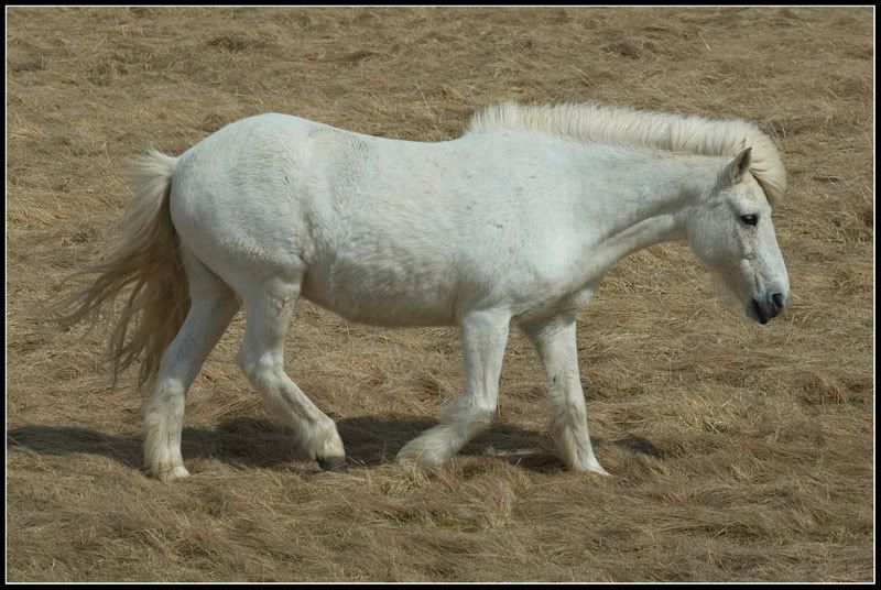 DSC_5602.jpg