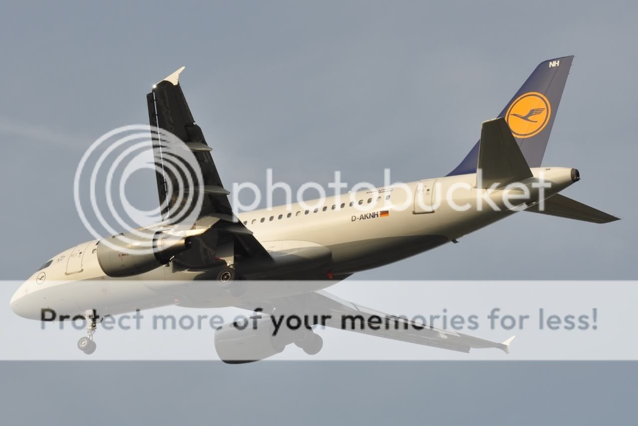 DSC_0450.jpg