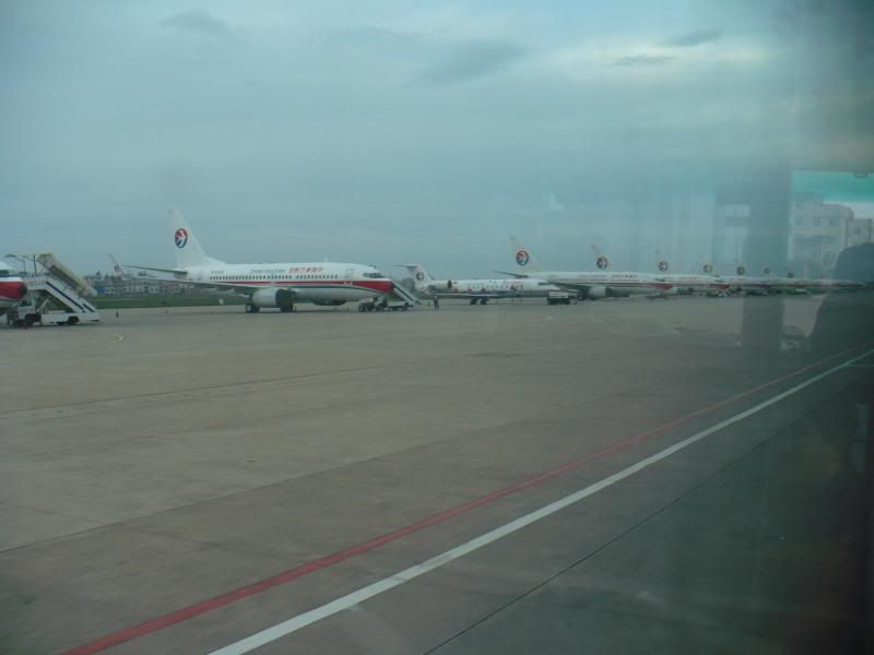 P1000951.jpg