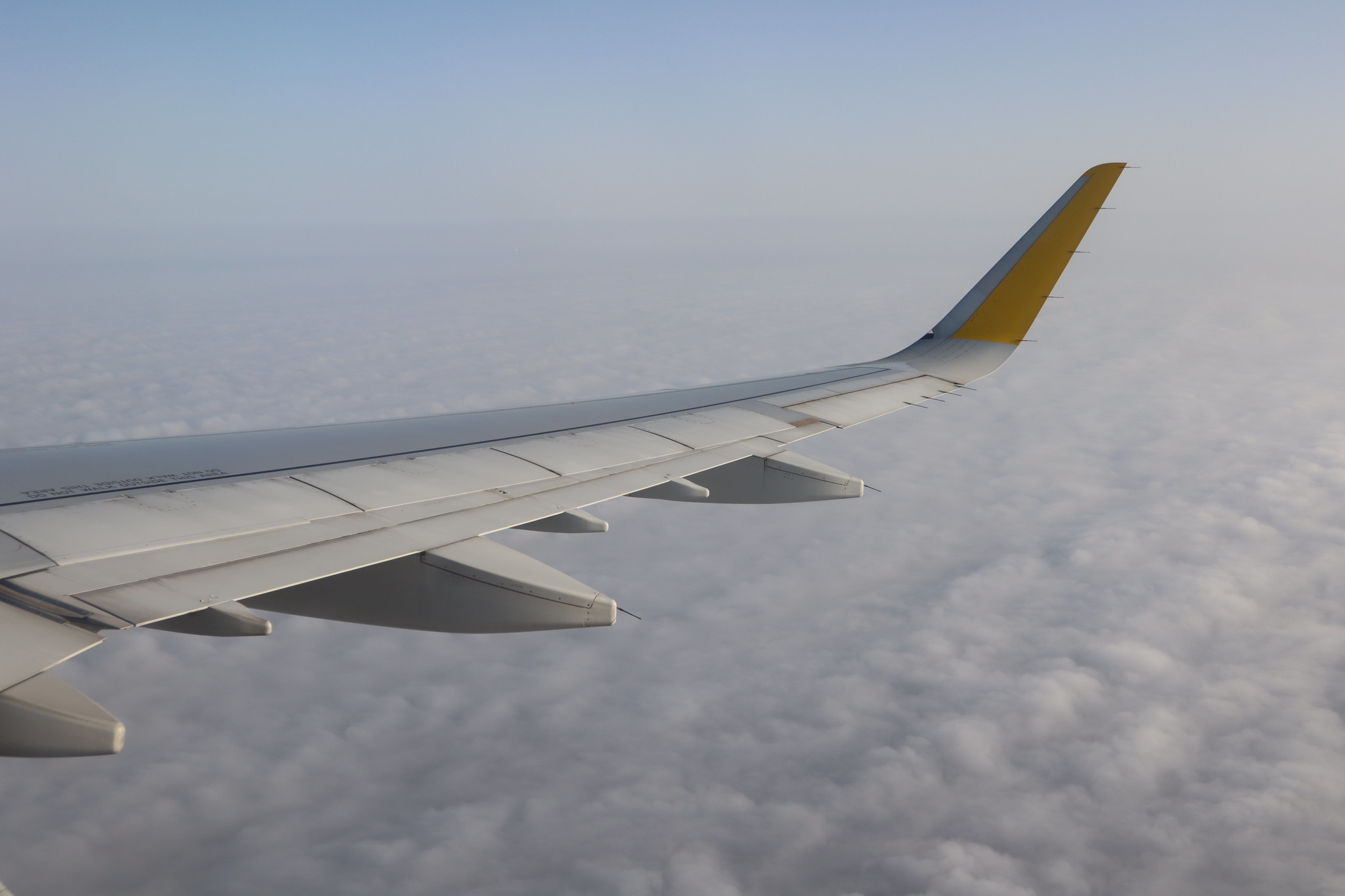 49455561723_dce9fd3388_k.jpg