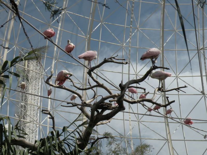 DSCN9078.jpg