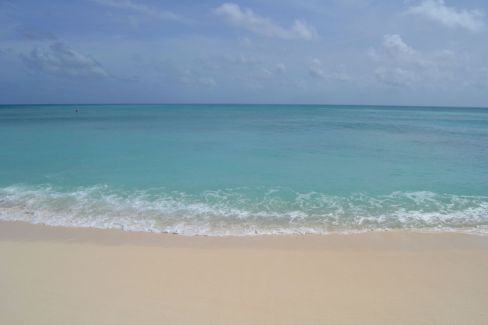 DSC_0352.jpg