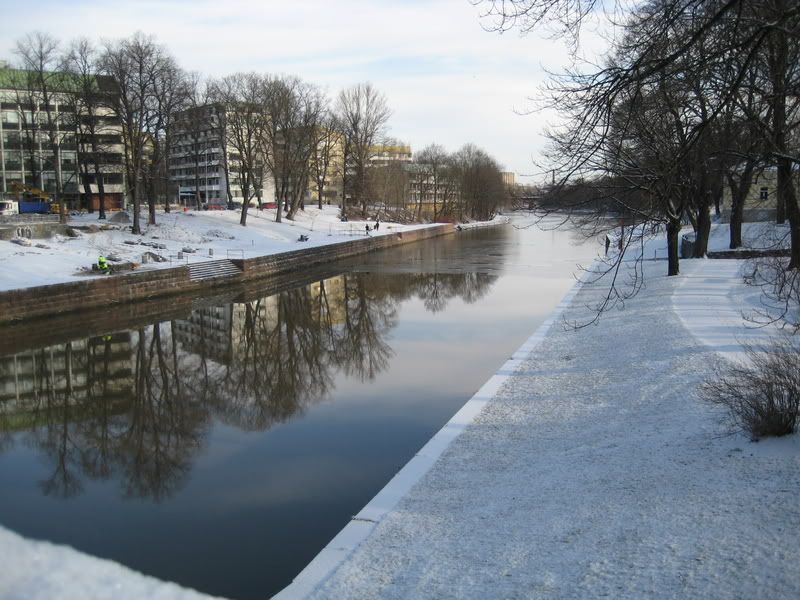 IMG_2822.jpg