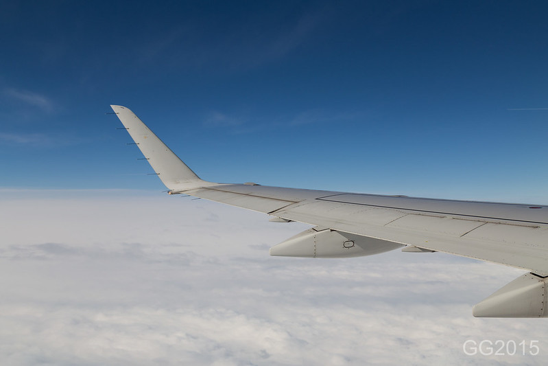 16754232652_39f56a5781_c.jpg