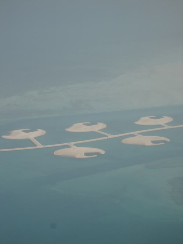 DSC00980.jpg